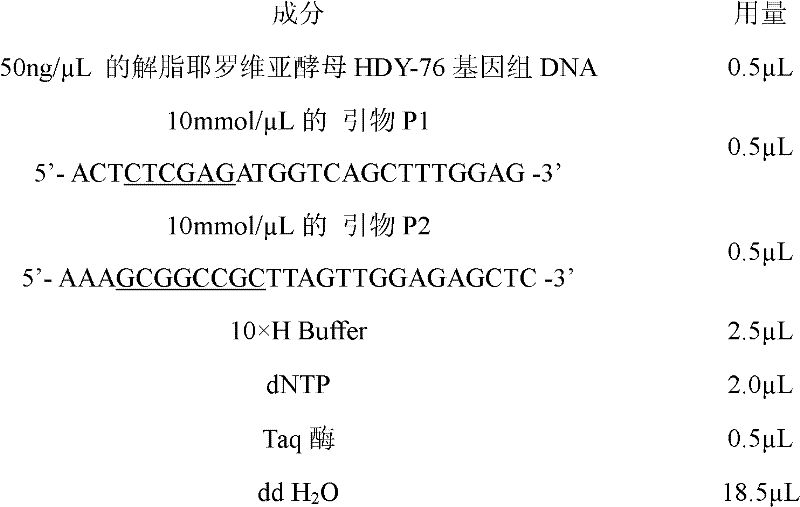 Genetic engineering strain producing lipase and construction method thereof