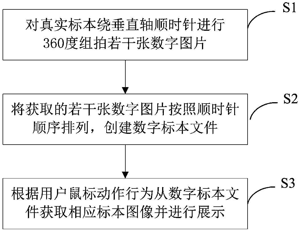 A digital specimen stereoscopic display method and apparatus