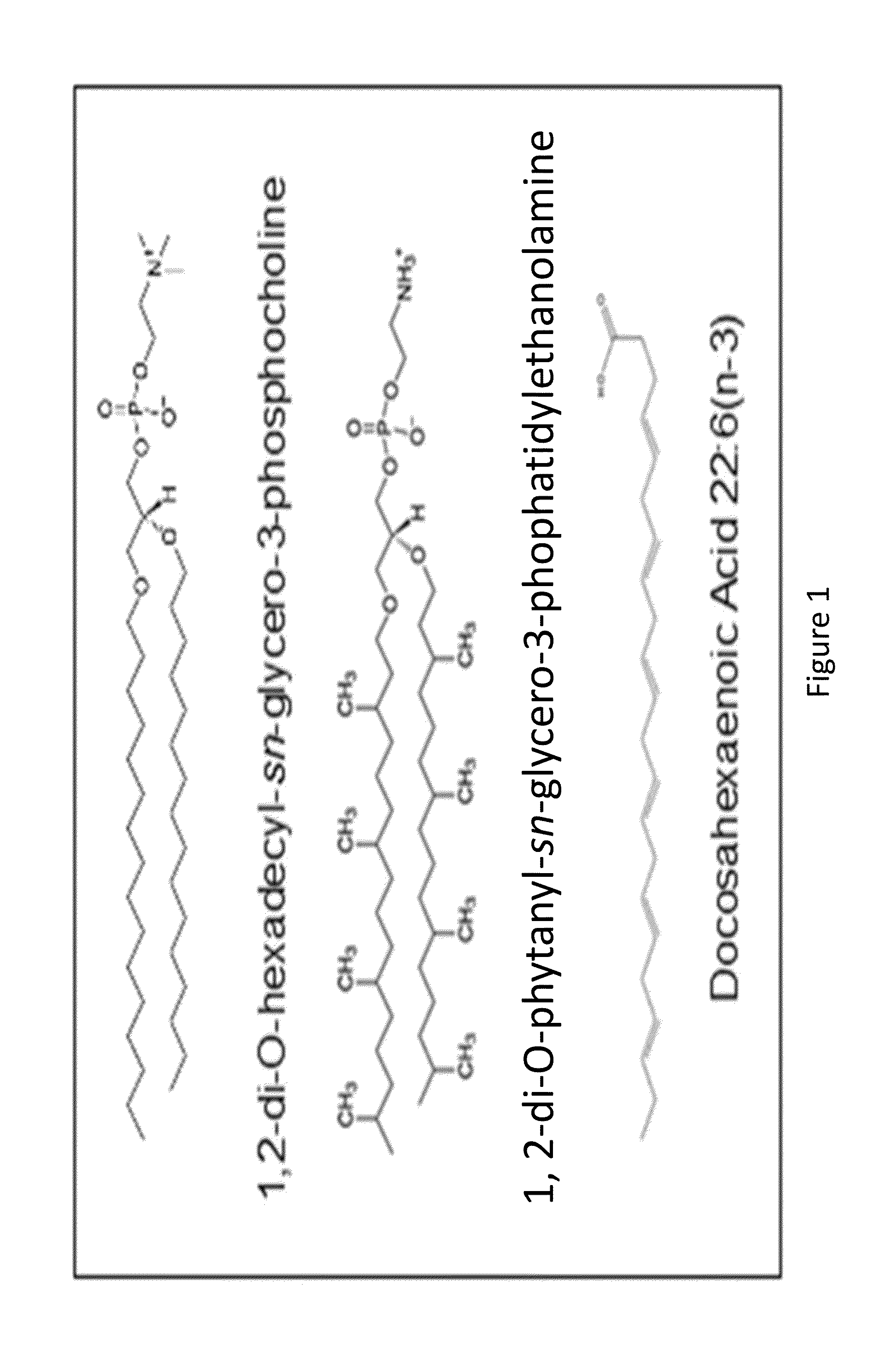Acid Stable Liposomal Compositions And Methods For Producing The Same