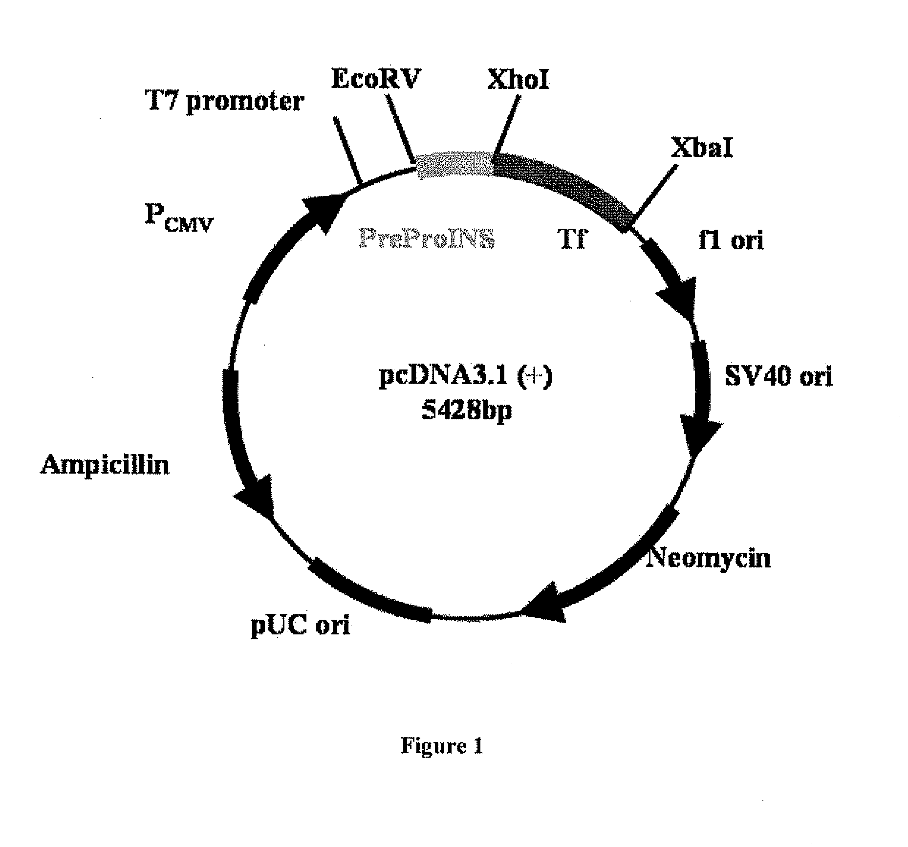 Method for Uses of Protein Precursors as Prodrugs