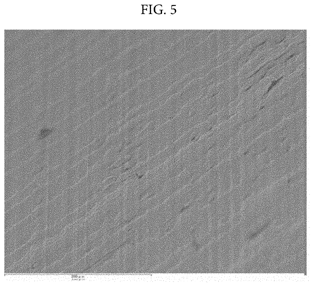 Three-dimensional structure having bioactivity and production method therefor