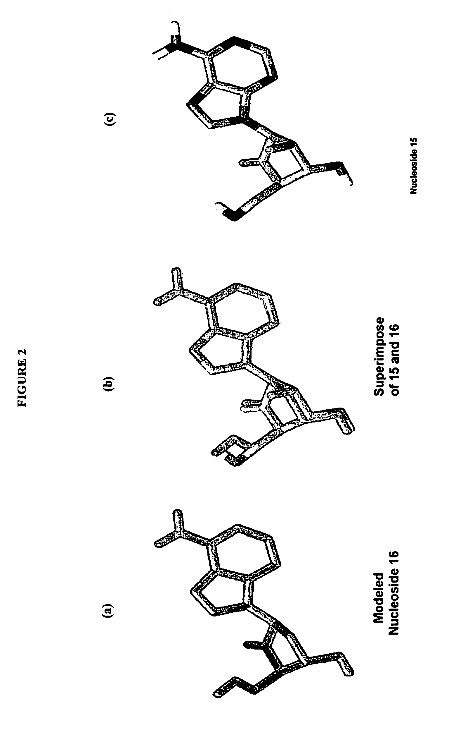 2′-fluoro-6′methylene carbocyclic nucleosides and methods of treating viral infections
