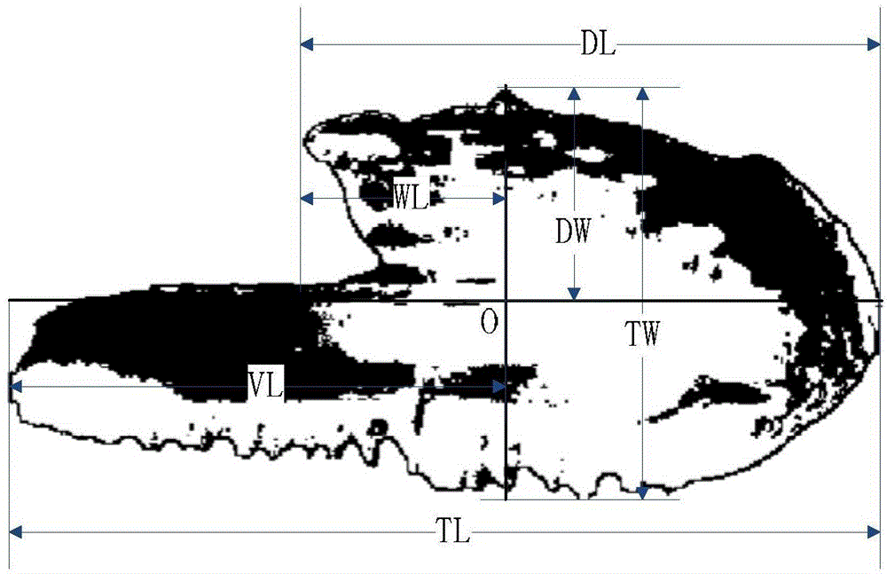 Otolith measurement and fish population discriminating method based on polar coordinate