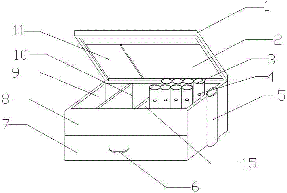 Domestic medicine chest