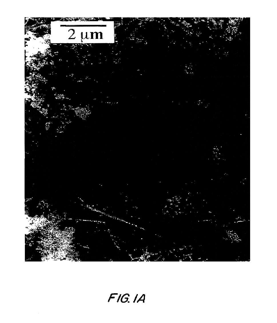 Carbon nanostructures and methods of preparation