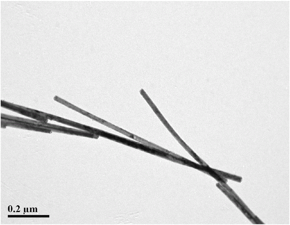 Denitration catalyst carried by CeO2 nanotube and preparation method of denitration catalyst