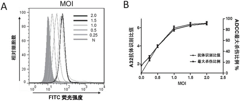 Method for detecting ADCC (antibody-dependent cell-mediated cytotoxicity) activity of anti-HIV (human immunodeficiency virus) antibody