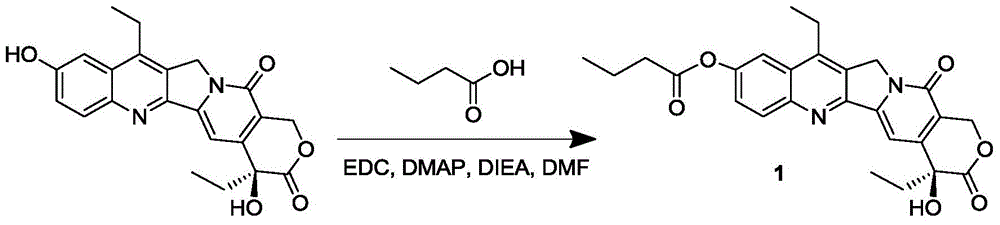 7-ethyl-10-hydroxycamptothecine drug precursor, preparation method and application thereof