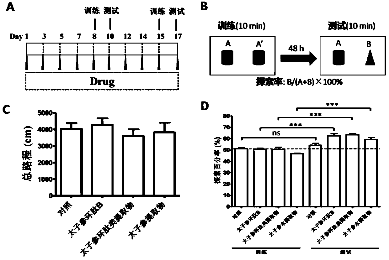 Application of heterophyllin B in improving memory and/or preventing Alzheimer's disease