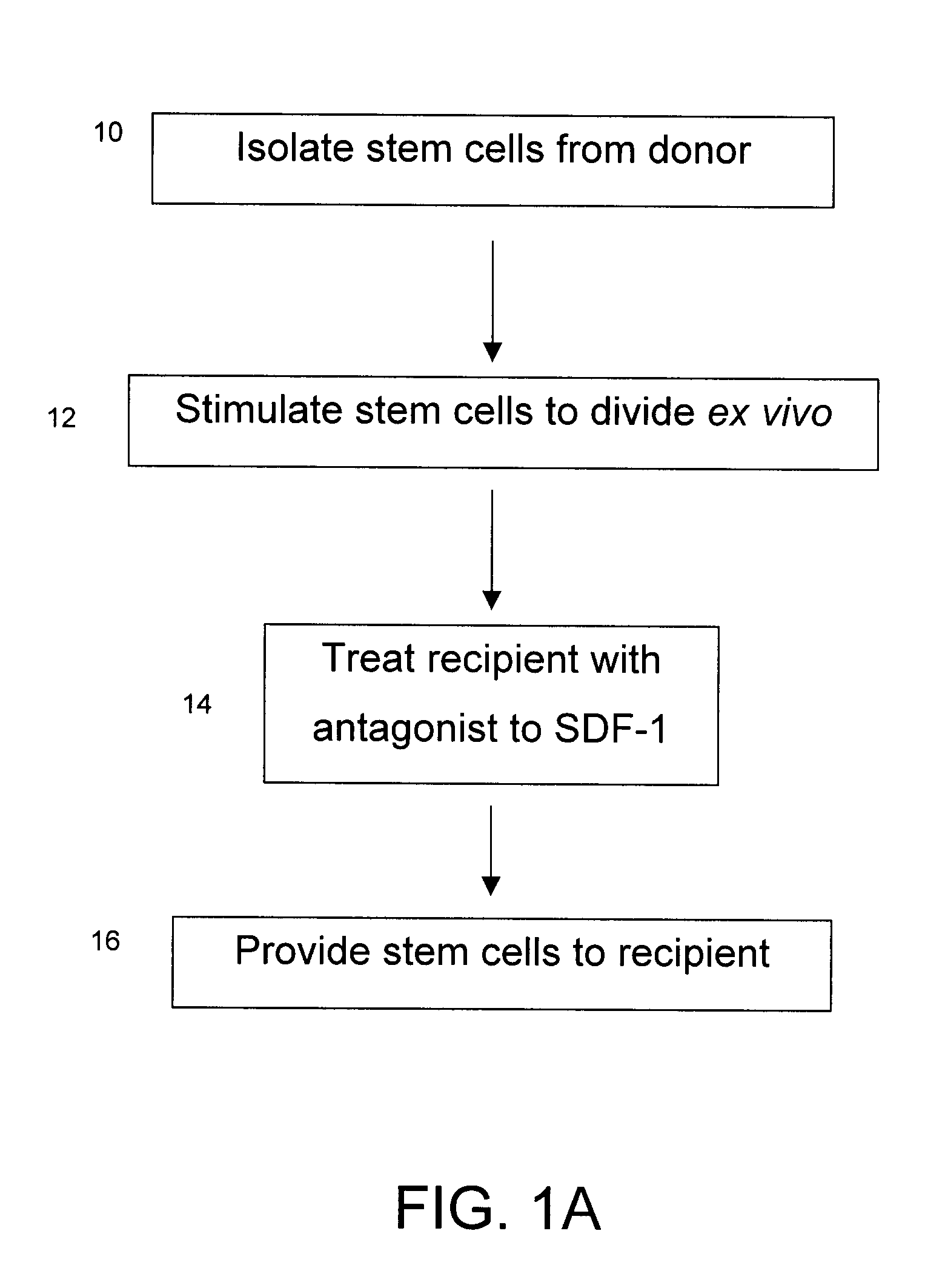Method and composition for increasing the engraftment efficiency of stem cells