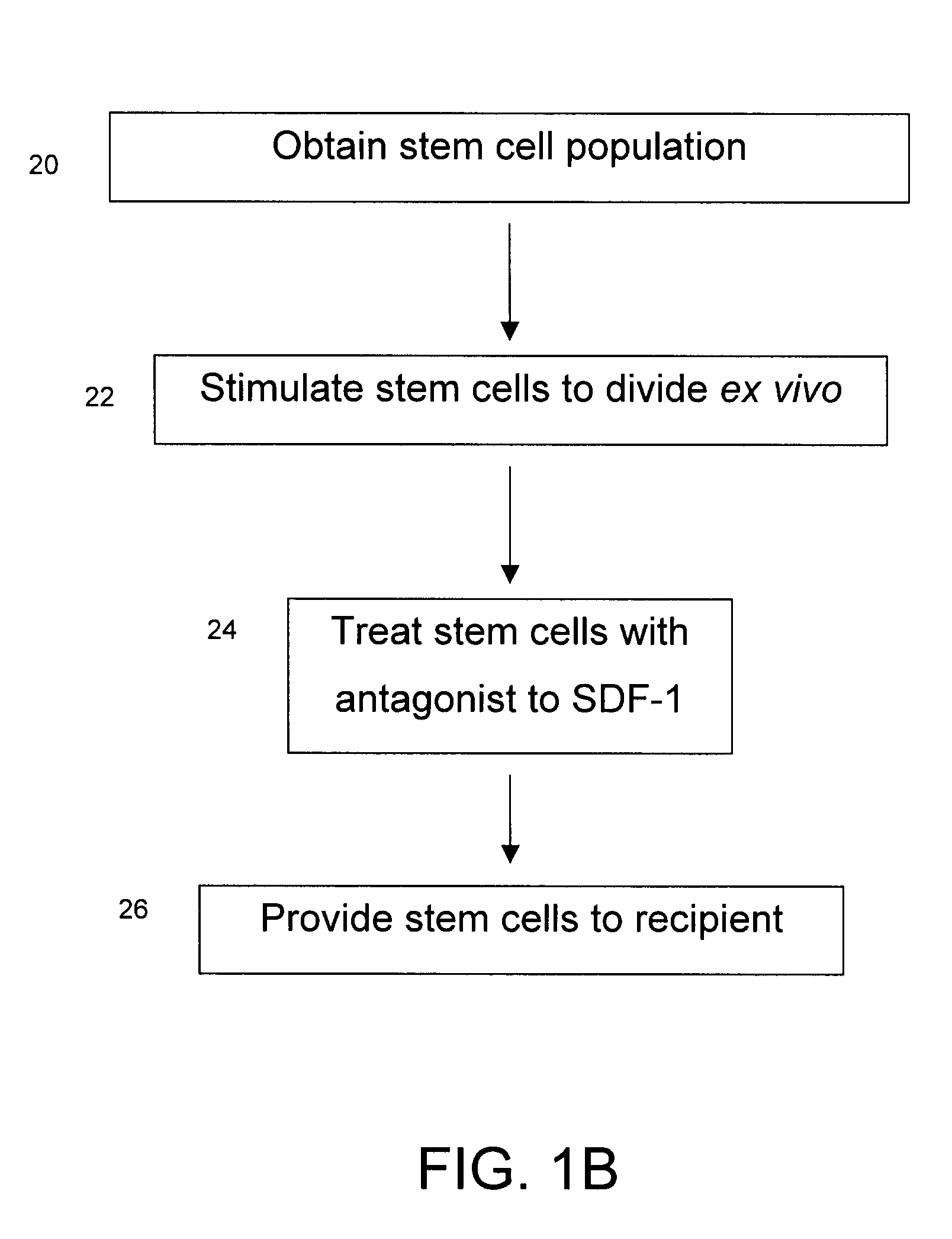 Method and composition for increasing the engraftment efficiency of stem cells