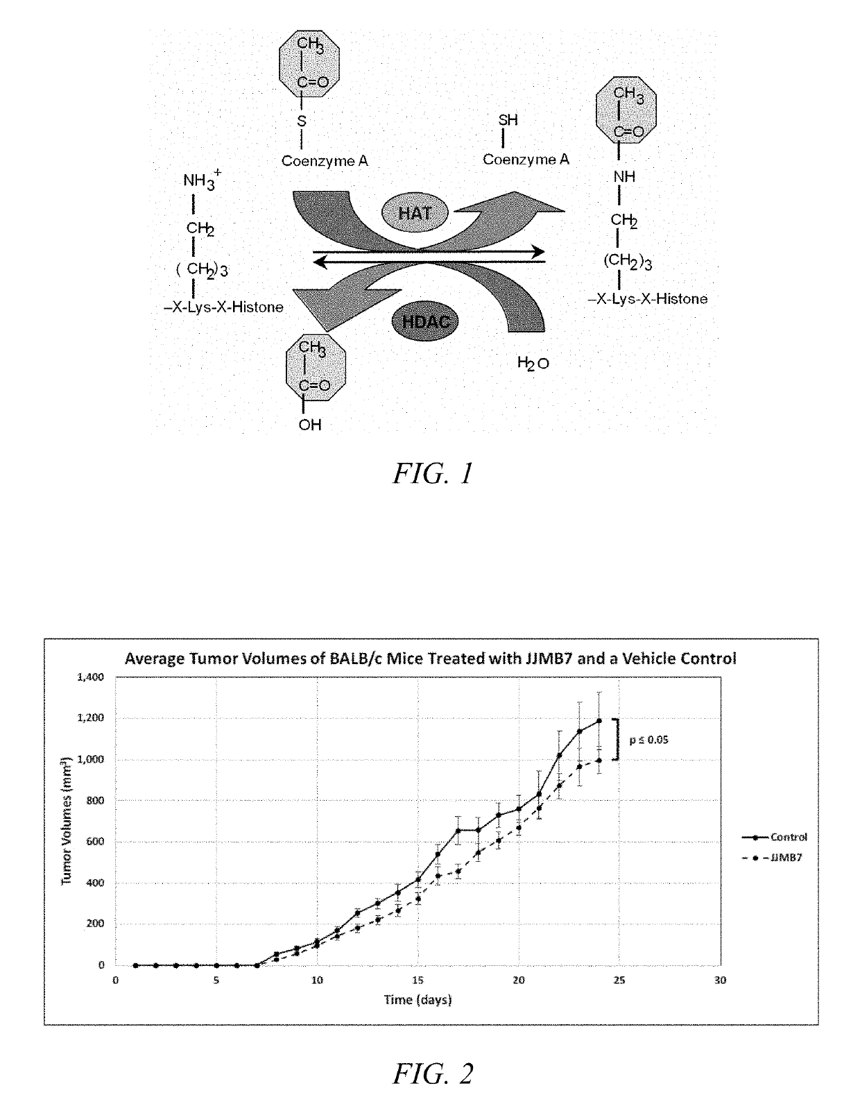 Use of histone acetyltransferase inhibitor amidoximes as Anti-proliferative agents