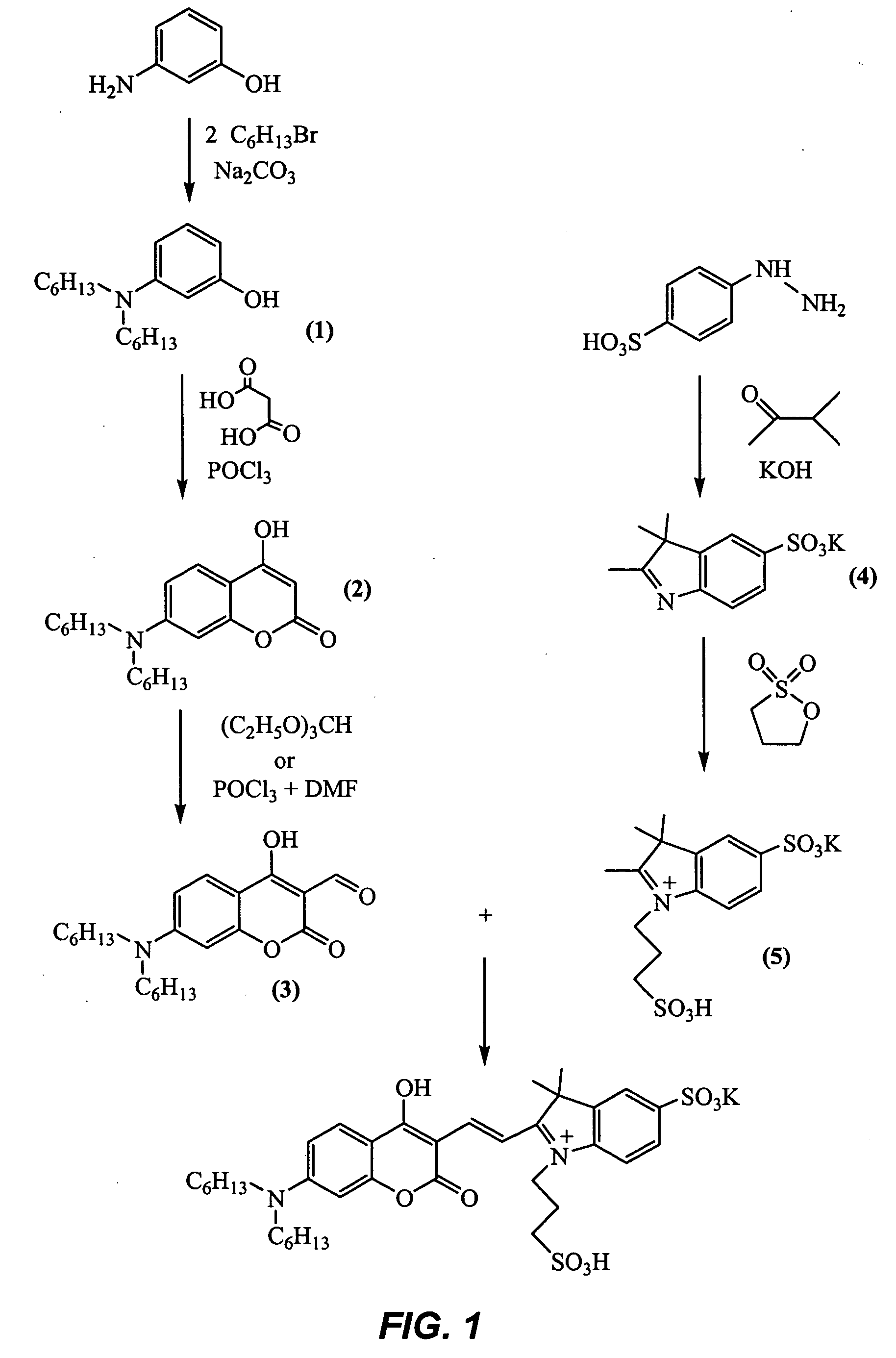 Coumarin-based cyanine dyes for non-specific protein binding