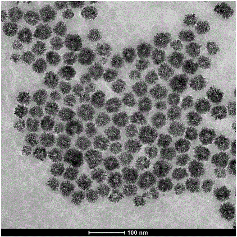 Porous platinum/palladium alloy nanoparticle catalyst as well as preparation method and application thereof