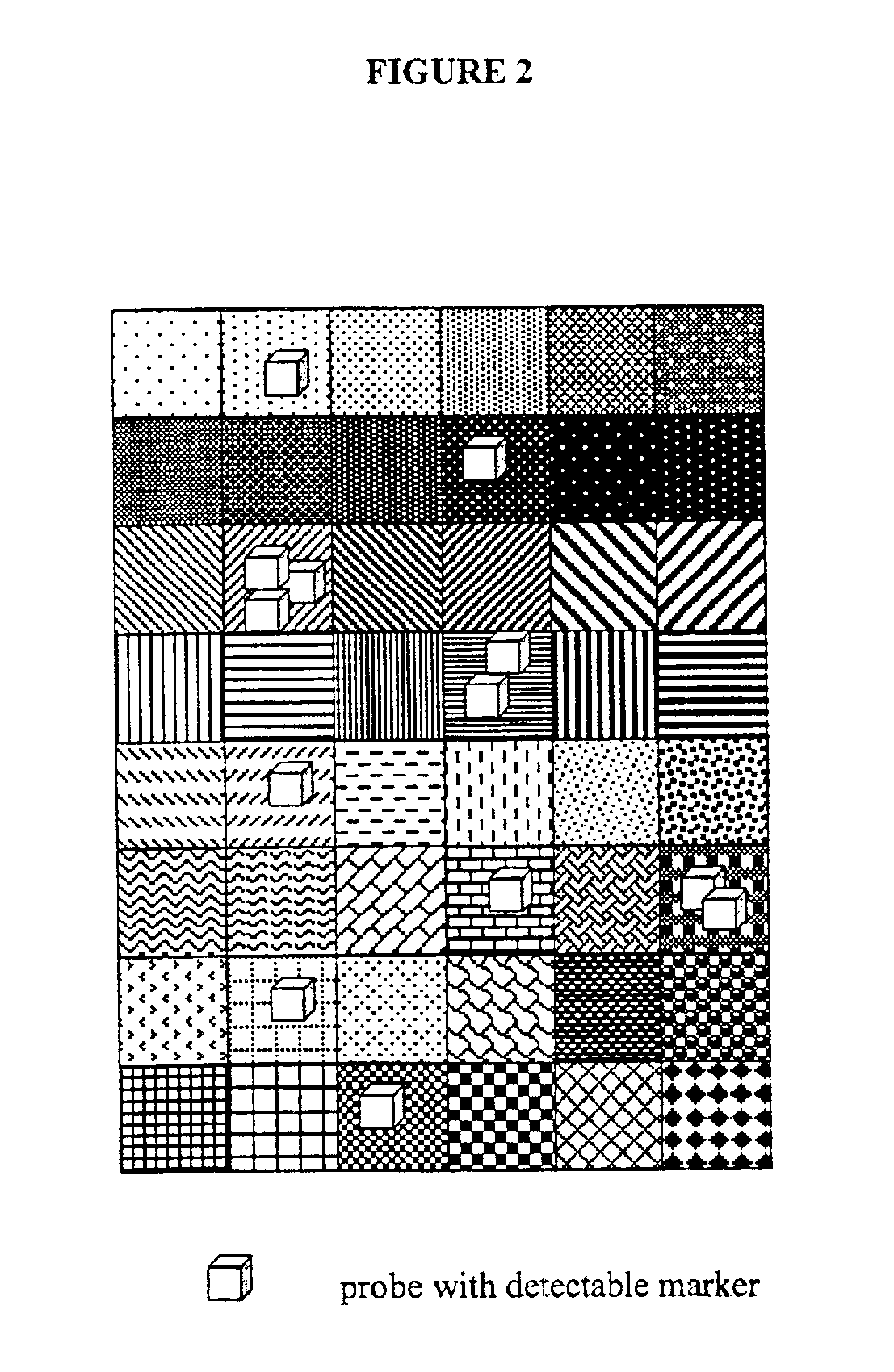 Method and kit for isolating DNA probes that bind to activated transcription factors