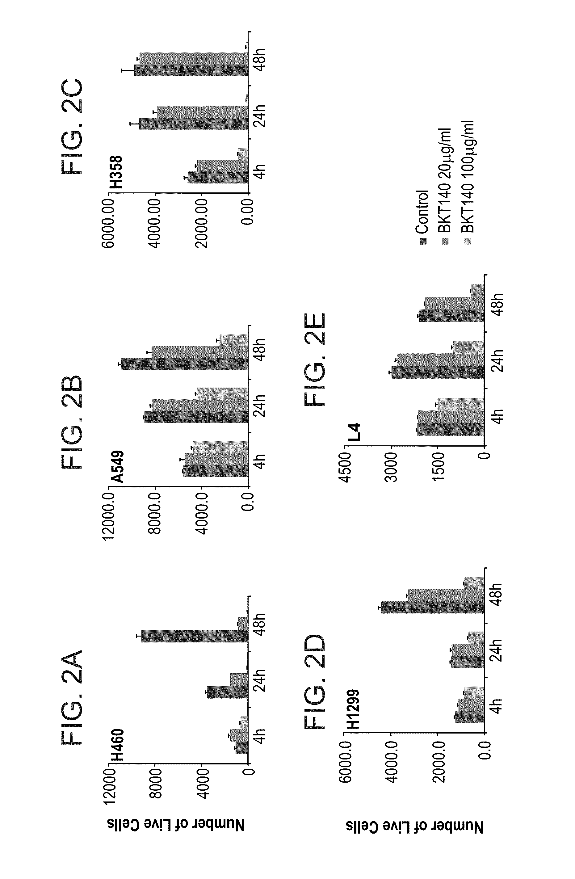 Peptides and use thereof in the treatment of large cell lung cancer
