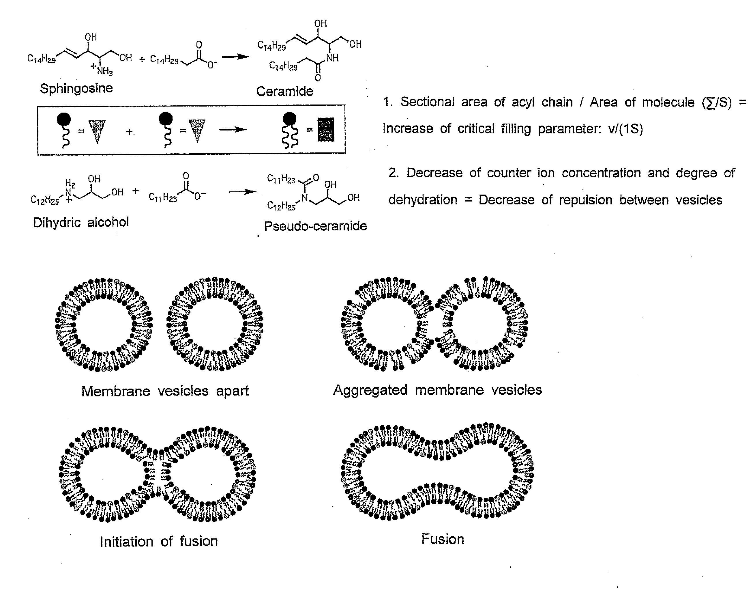 Molecular Aggregate Capable of Undergoing Phase Transition by Dehydrating Condensation and Method of Phase Transition Thereof