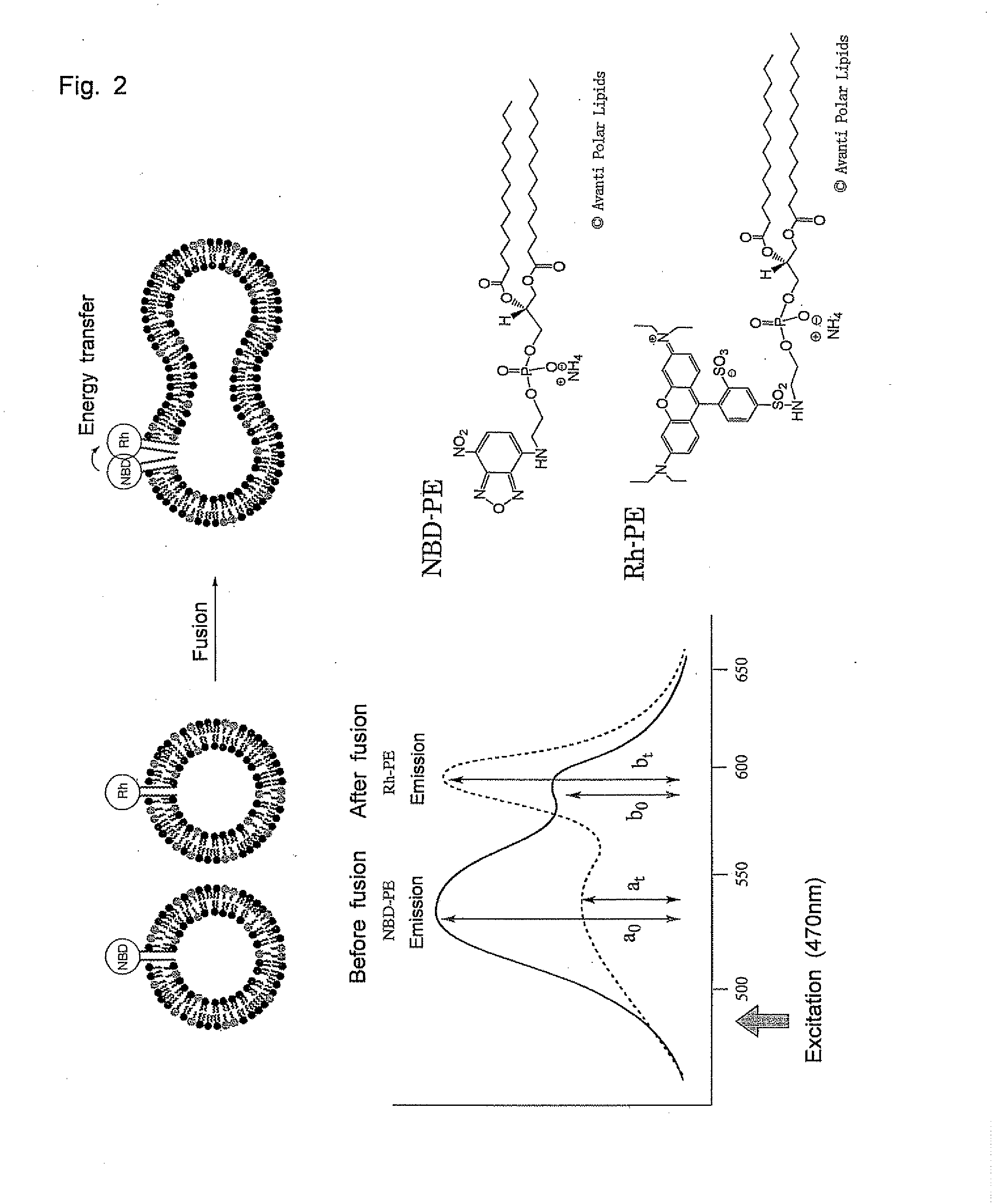 Molecular Aggregate Capable of Undergoing Phase Transition by Dehydrating Condensation and Method of Phase Transition Thereof