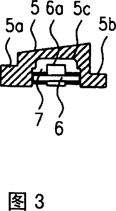 Access sefety means of passenger transporting apparatus