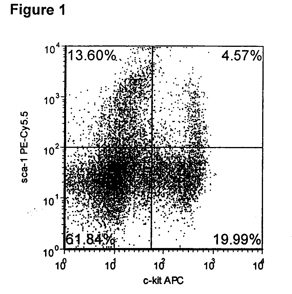 Methods for Enhancing Stem Cell Engraftment During Transplantation