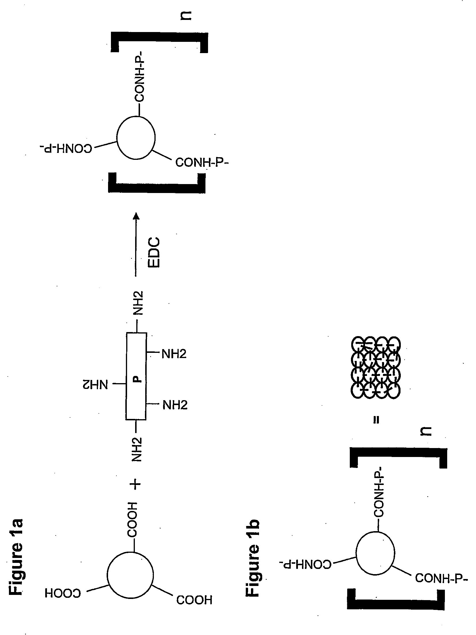 Method of Enhancing a Fluorescent Signal