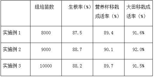 A kind of tissue culture and rapid propagation method of early crisp ...