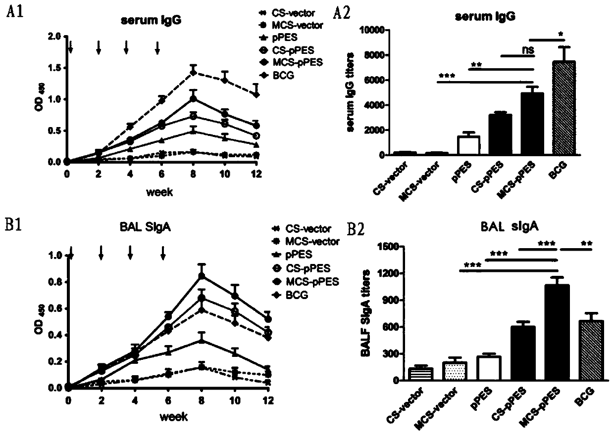 Tuberculosis mucosal gene vaccine assembled with mannosylated chitosan delivery system