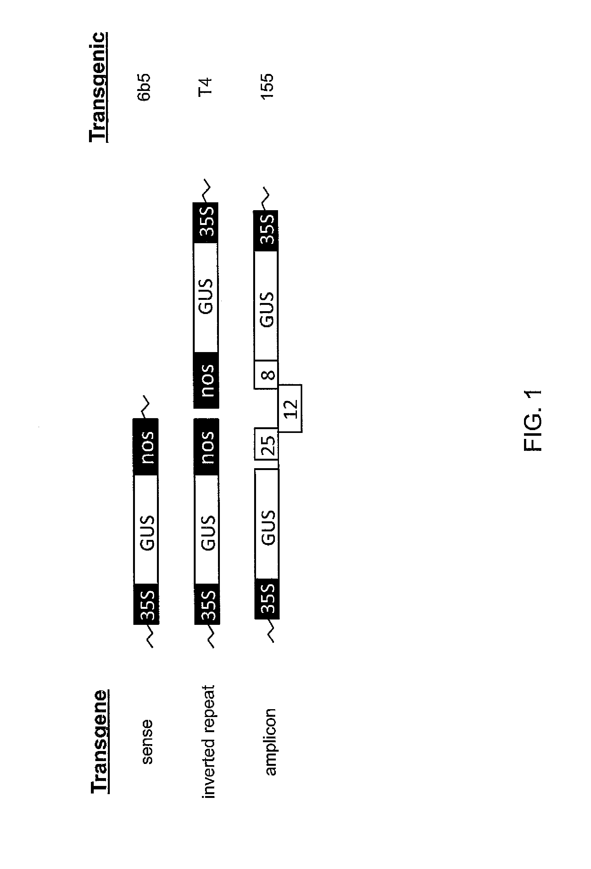Compositions and Methods for the Modulation of Gene Expression in Plants