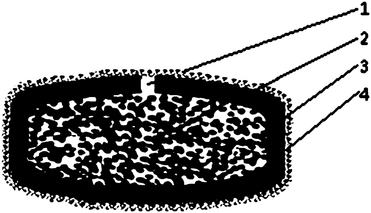 A kind of matrine osmotic pump controlled-release tablet and preparation method thereof