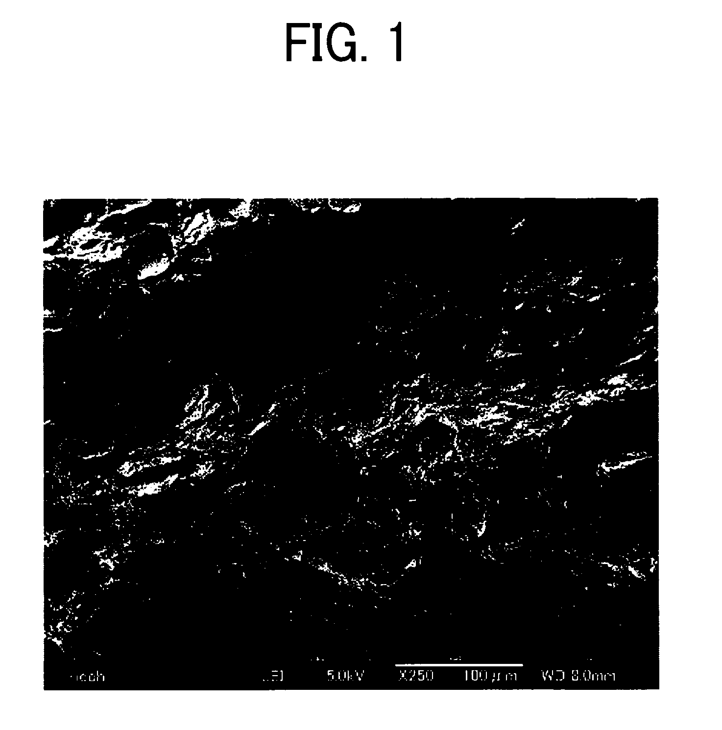 Protective material and image forming apparatus using the protective material