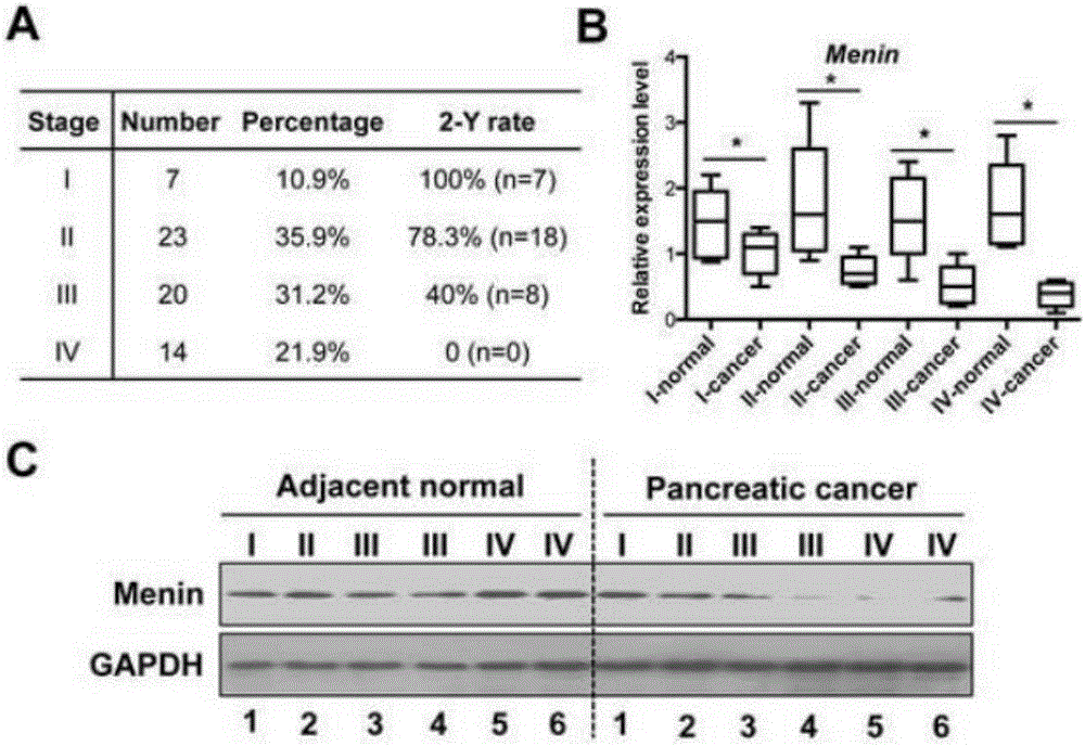 Application of Menin factor