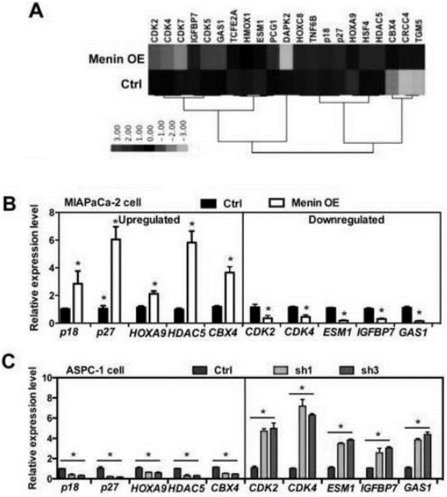 Application of Menin factor