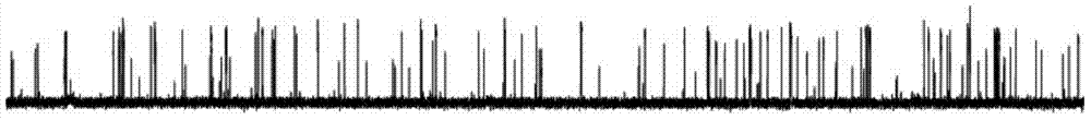 Formation method of inside-out patch in patch clamp experiment