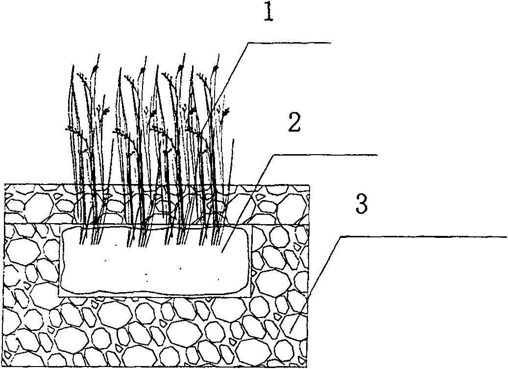 Porous concrete ecological capsule slope protection method