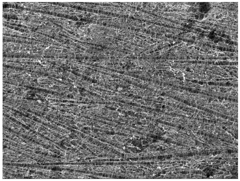 High-sensitivity and wide-range composite conductive nanofiber aerogel sensor and preparation method thereof