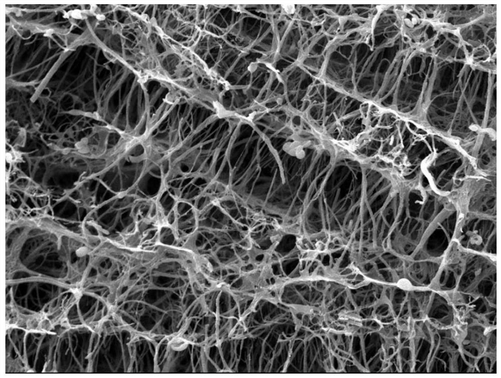 High-sensitivity and wide-range composite conductive nanofiber aerogel sensor and preparation method thereof