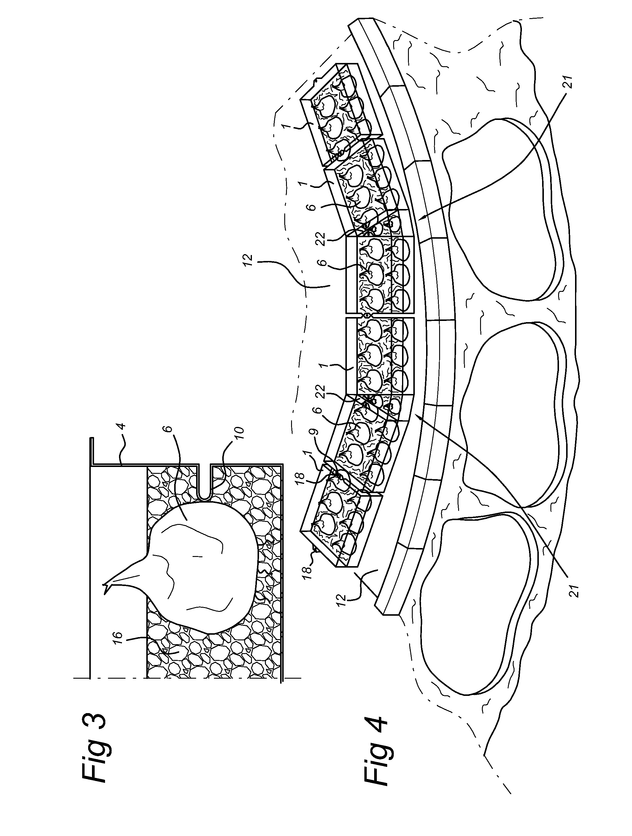 Assembly of a package and plant bulbs arranged therein, and a method for cultivating plant bulbs