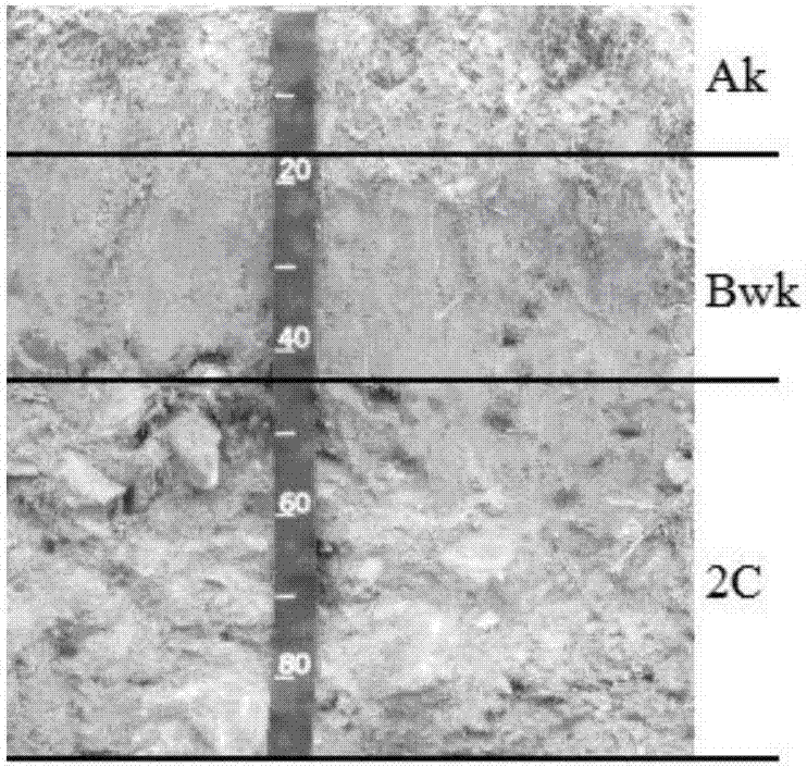 A Method for Estimating Soil Organic Carbon Storage Based on Soil Genetic Layer Thickness Prediction