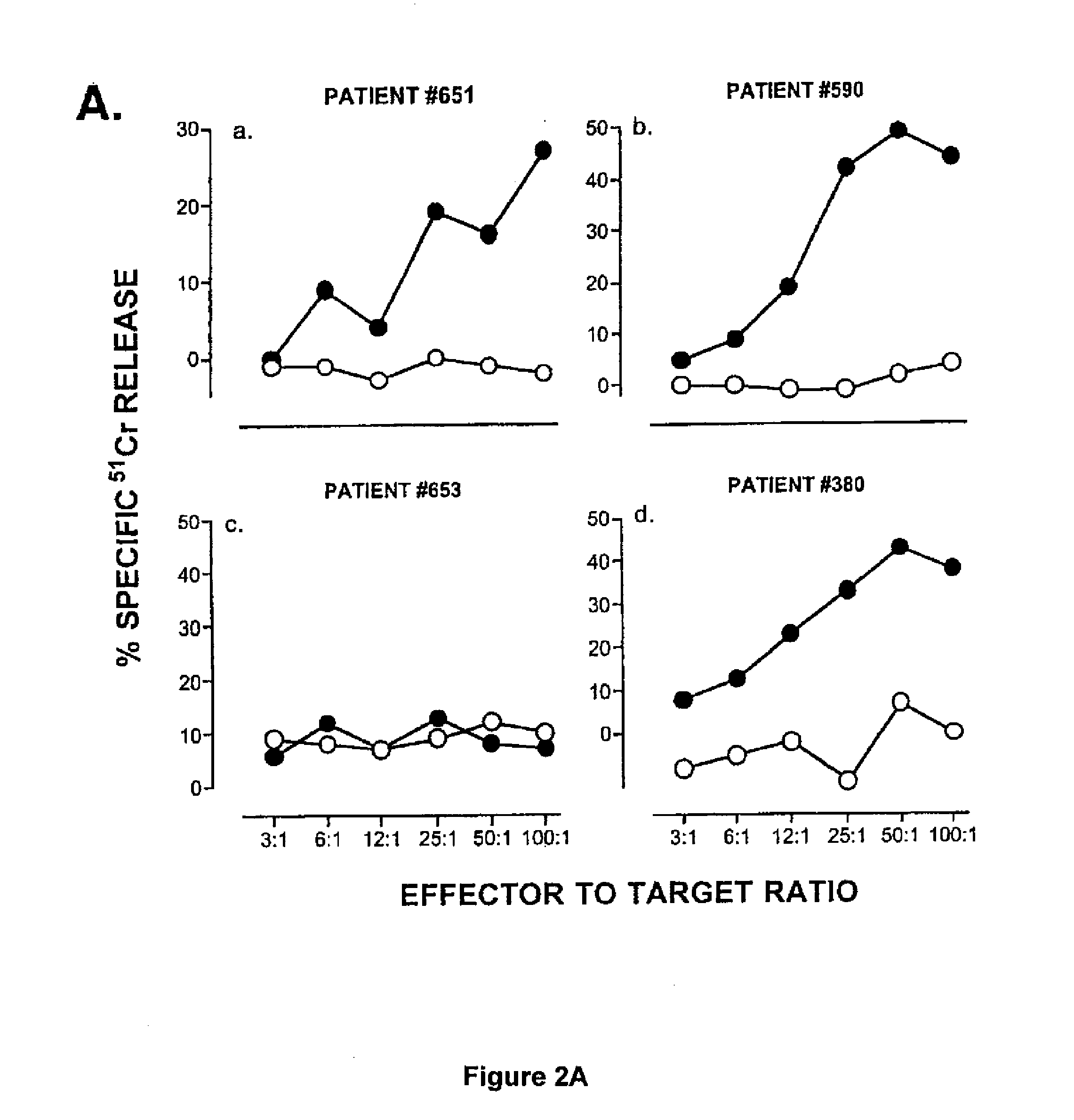 Composition and method for inducing and enhancing a telomerase reverse transcriptase-reactive cytotoxic T lymphocyte response