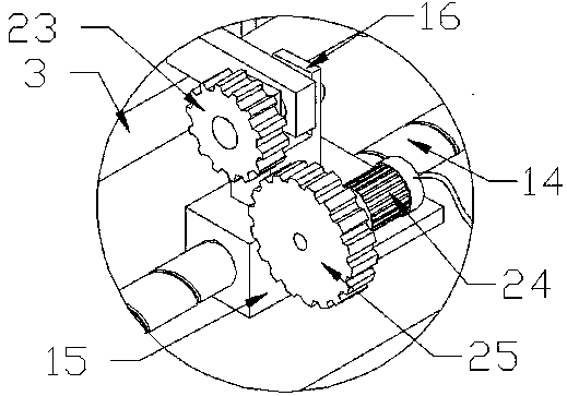 A pig large intestine cleaning and processing device