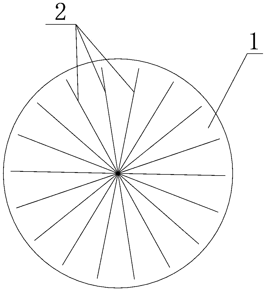 Wearable steel ball with reinforced framework