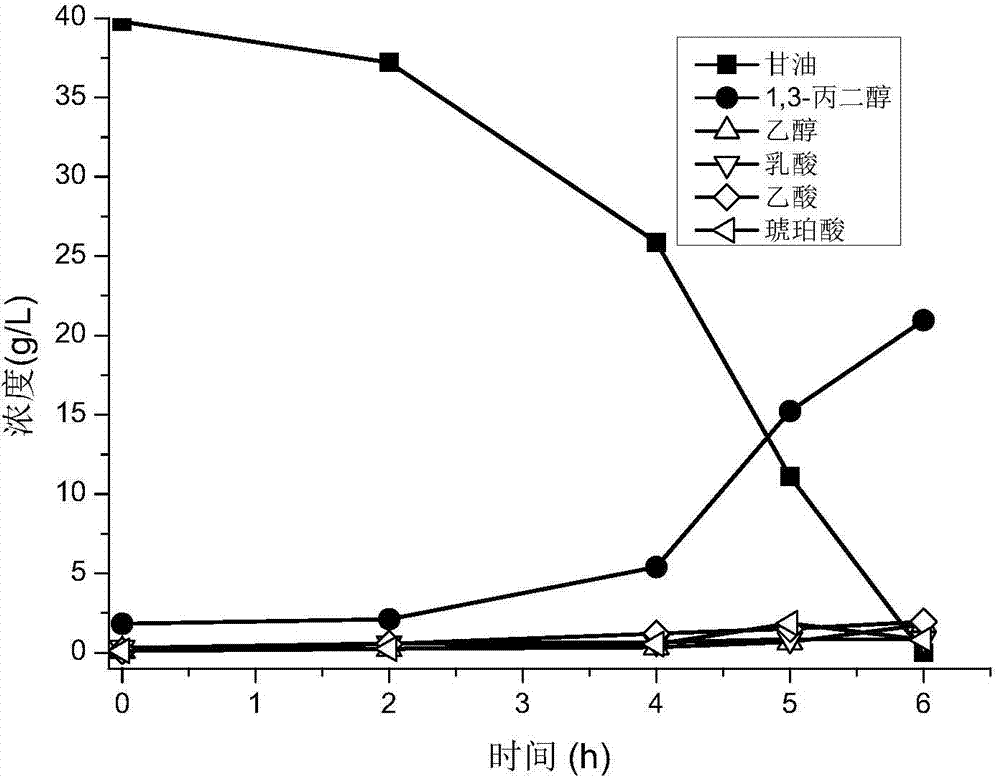 Method for producing 1,3-propanediol through mixed bacterium fermentation glycerinum
