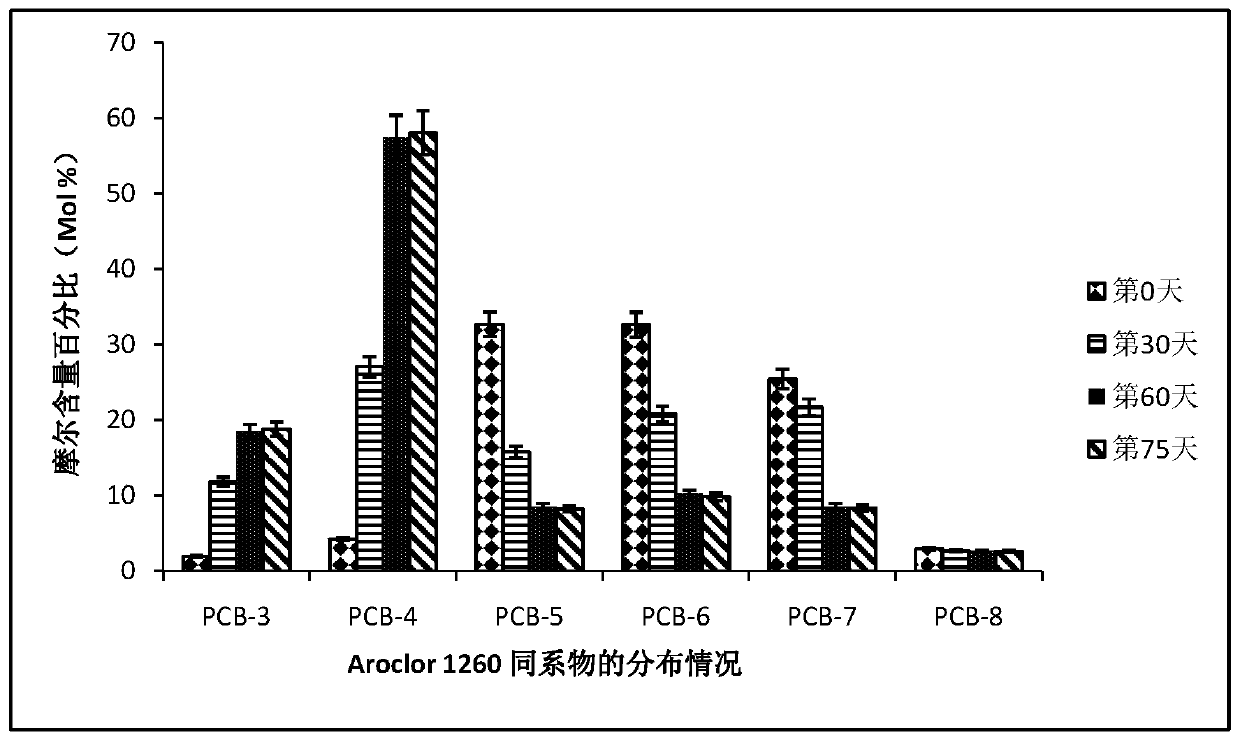 A biochar formulation for mediating anaerobic reductive dechlorination of polychlorinated biphenyls