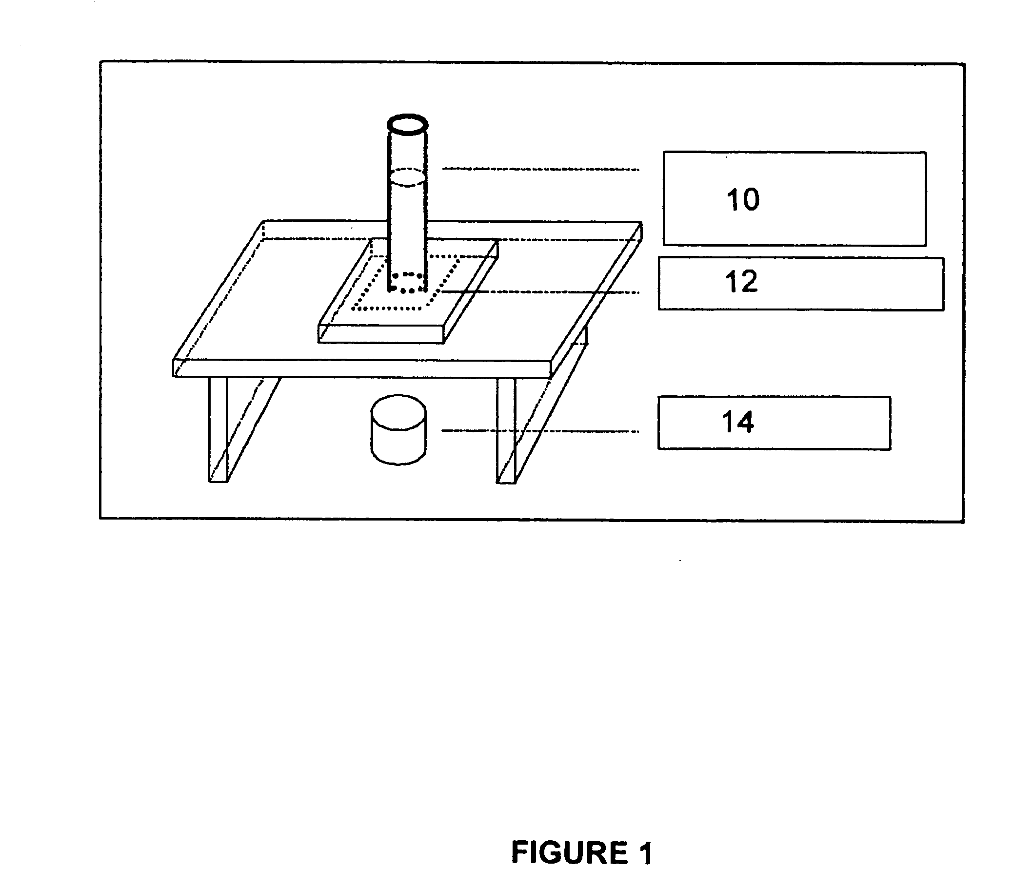 Tissue engineered scaffolds and mehtods of preparation thereof