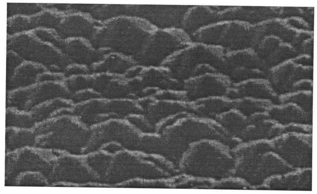 Texture etching solution of monocrystaline silicon solar cell, preparation method, and application thereof