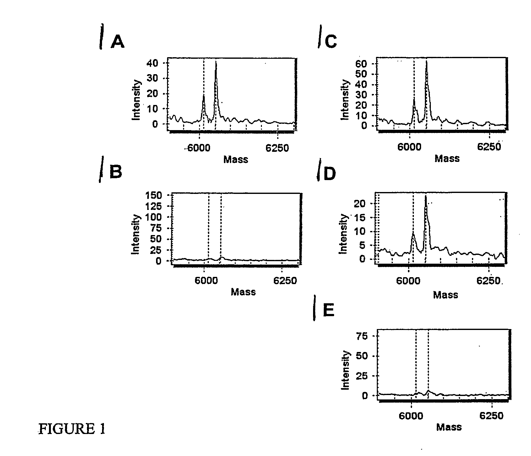 Method for Detecting and Quantifying Rare Mutations/Polymorphisms