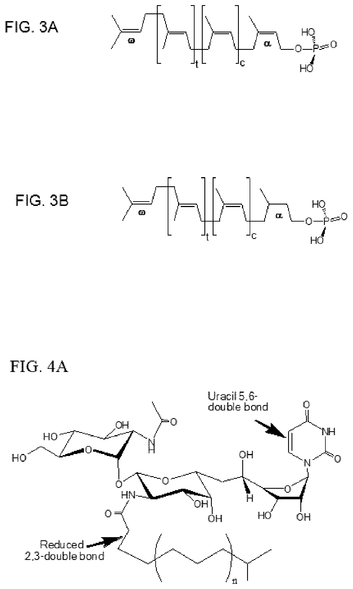 Tunicamycin related compounds with anti-bacterial activity