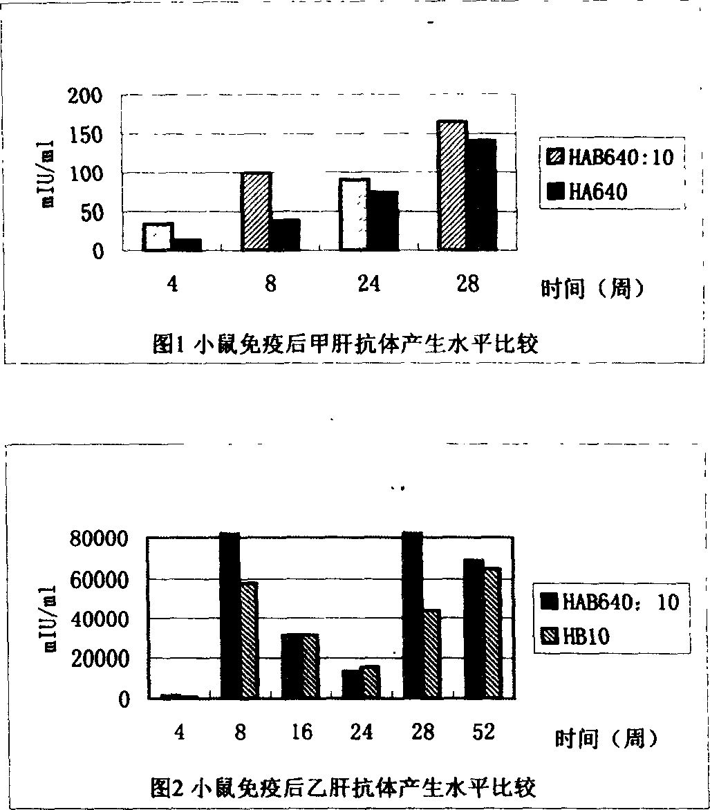 Combined vaccine for hepatitis A, B virus and its preparation method