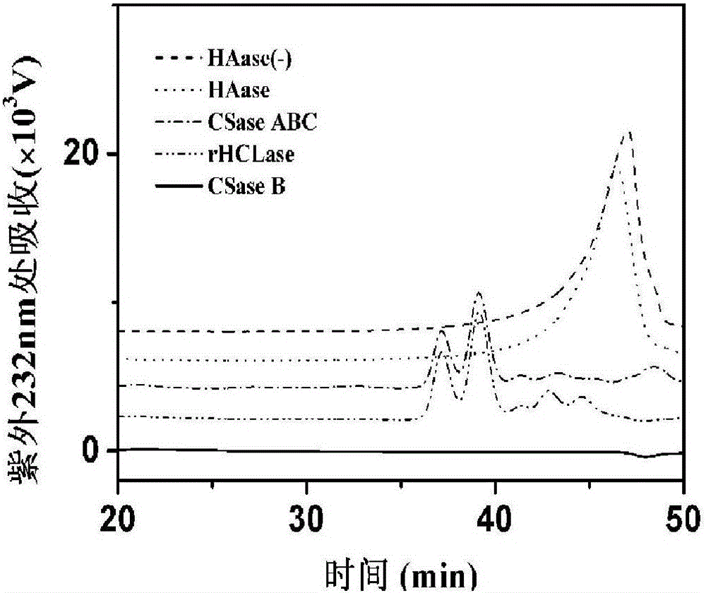 High-sulfating chondroitin sulfate (CS) and preparing method and application thereof