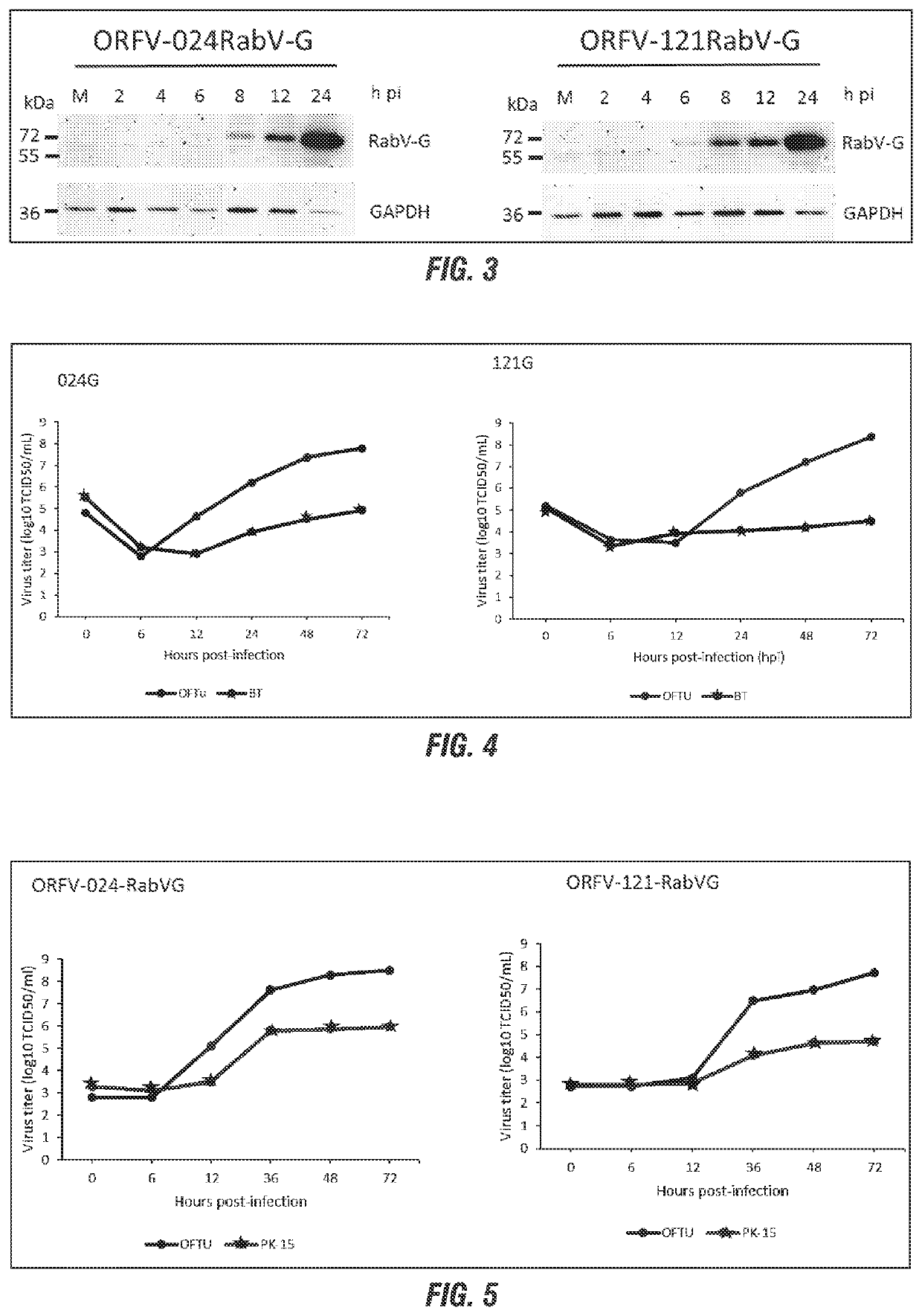 Orf virus-based platform for vaccine delivery